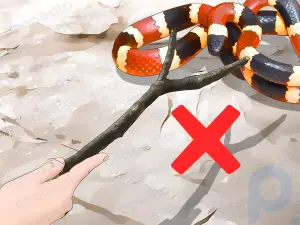 How to Tell the Difference Between a Milk Snake and a Coral Snake