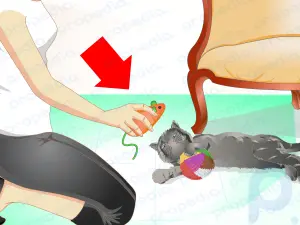 Cómo entrenar a un gato para que no salte sobre tus muebles