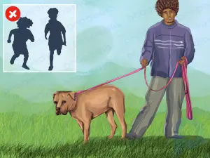 How to Train Big Dogs
