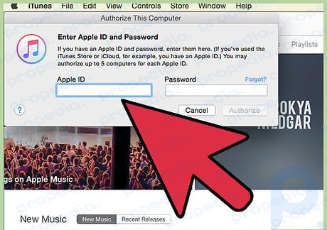 Paso 4 Ingrese su ID de Apple y contraseña y haga clic en .