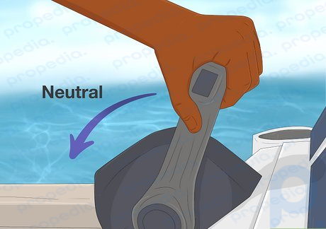 Step 2 Put your motor in neutral if you’re watching the dolphins.