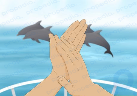 Passo 3 Eles adoram se exibir – e roubar a atenção de outros golfinhos.