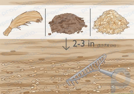 Шаг 1. Добавьте органические удобрения для улучшения дренажа или аэрации уплотненной почвы.
