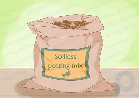 Step 1 Replant it in an all-purpose, lightweight potting mix.