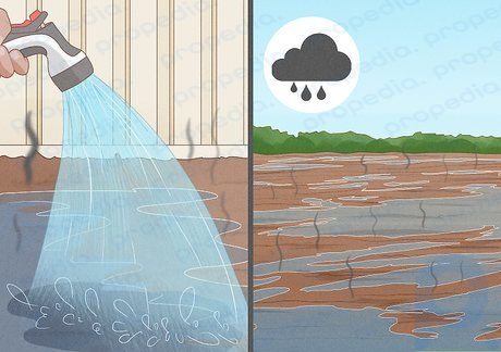 Step 2 Overwatering or getting a lot of rain can make soil smell like ammonia.