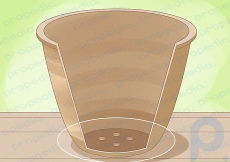 Step 2 Use a pot with more drainage holes.