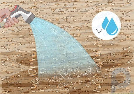 ステップ 2 排水が良好で土壌が圧縮されていない場合は、水やりの頻度を減らします。