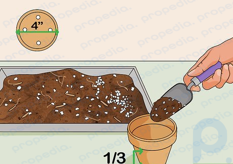 Step 3 Put the mixture in planting pots.