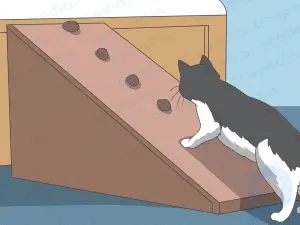 Как выбрать пандус или лестницу для вашей кошки