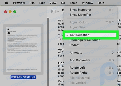 Step 3 Click Text Selection to copy text.