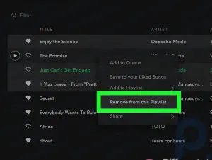 Como excluir músicas do Spotify