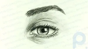 How to Draw a Realistic Female Eye