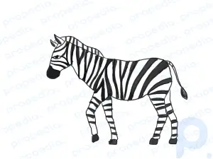 Wie zeichnet man ein Zebra?