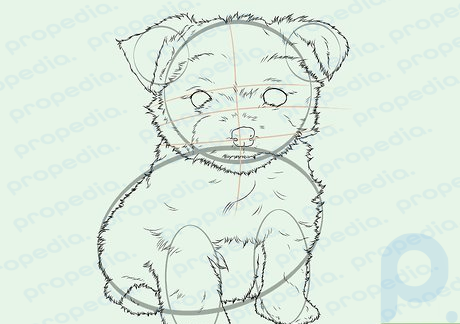 Step 10 Complete the tracing of the Yorkie's furry body.