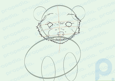 Step 6 Continue tracing the outline of the Yorkie's head, using zigzag lines and dashes.