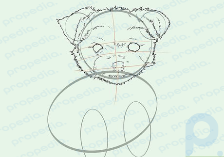 Step 7 Complete the tracing of the Yorkie's head and ears (again, using little zigzag lines and dashes for furry complexion).