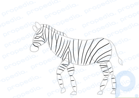Schritt 8 Zeichnen Sie die Streifen über den gesamten Körper des Zebras.