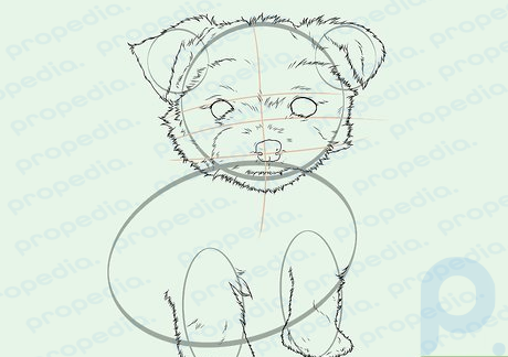 Step 8 Start drawing the Yorkie's furry legs.
