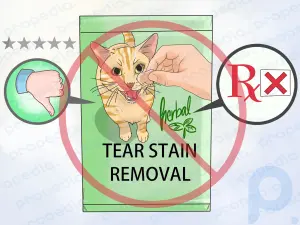 Comment éliminer les taches de larmes sur les chats et les chiens