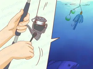 Wie man einen Spinnerbait fischt