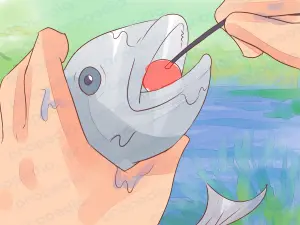 Как ловить рыбу без рыболовных снастей