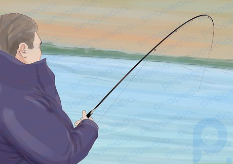 Шаг 2. Ловите рыбу в нужное время суток.