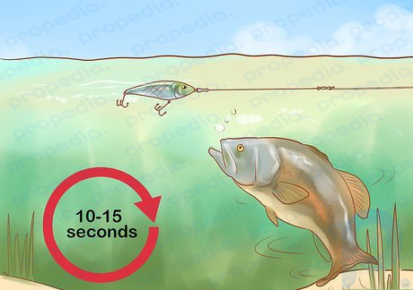 Schritt 4 Lassen Sie den Jerkbait 10–15 Sekunden lang ruhen.