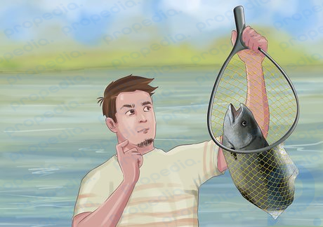 Шаг 6. Решите, оставить рыбу или отпустить ее.