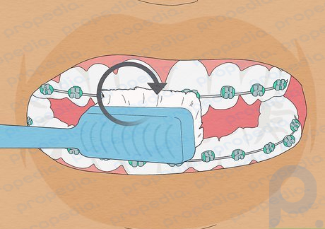 Paso 1 Cepilla la parte exterior de tus dientes.