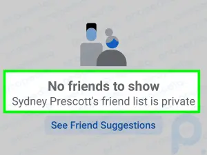 Facebook'ta Ortak Arkadaşlarımı Gizleyebilir miyim? Açıklama + Geçici Çözüm