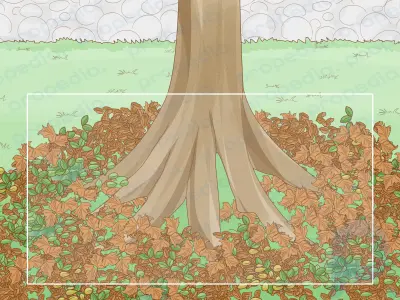 Узнайте, сколько времени нужно дереву, чтобы вырасти