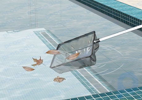 Étape 1 Nettoyez votre piscine chaque semaine afin qu'elle n'attire aucun parasite.