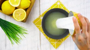 Cómo hacer sal de limón