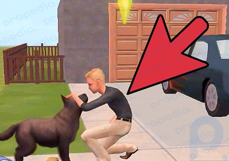 Step 7 Have the Sim play with the dog.