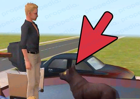 Step 8 Play with the dog once more until your Sim and the wolf are friends.