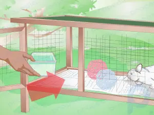 Açık Havada Tavşan Kafesi Nasıl Yapılır