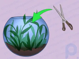 How to Build a Self Sustaining Ecosystem