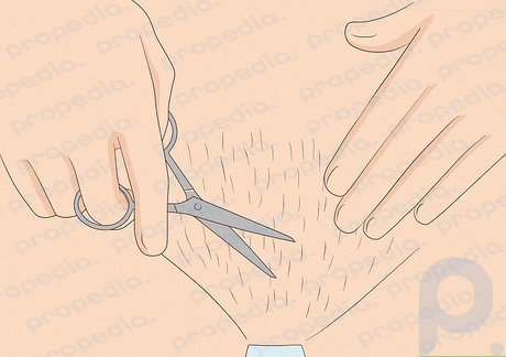 Use a small pair of scissors to trim your hair to 3⁄4 in (1.9 cm).