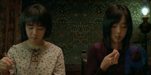 アジアのホラー映画：「二人の姉妹の物語」
