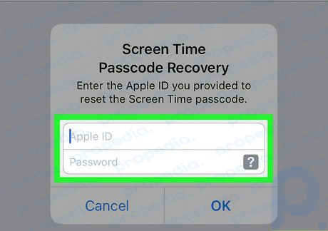 Step 6 Enter your Apple ID and password.