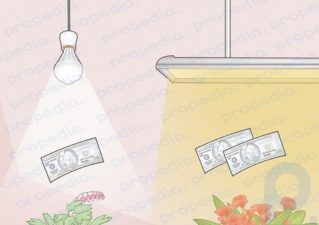 Step 2 LEDs are more energy-efficient than other types of grow lights.
