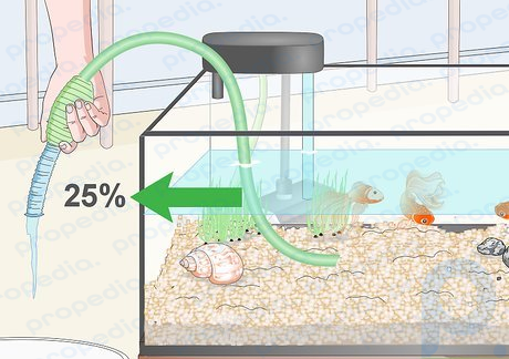 Step 6 Do not drain more than 25% of the water from the tank.