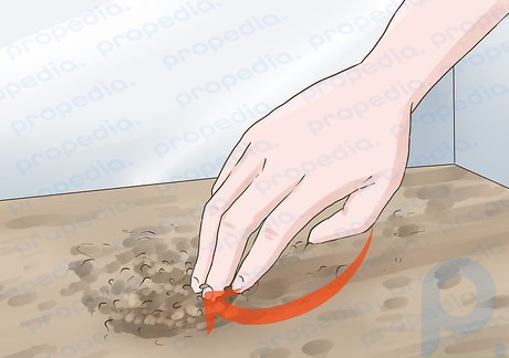 Step 2 Rake your fingers through the sand.