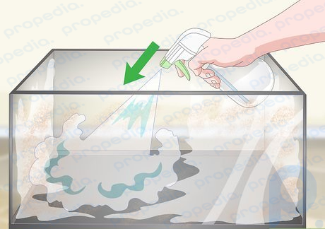 Step 2 Spray the cleaning solution over the interior and exterior sides and bottom of the tank.