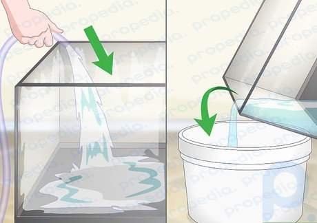 Step 4 Rinse the fish tank with water and drain with a bucket.