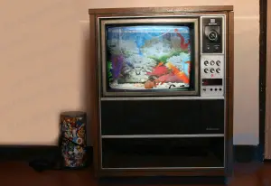 How to Build a Retro TV Fish Tank