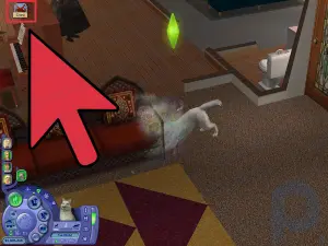 Comment contrôler les animaux sur les animaux Sims 2