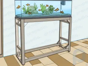 How to Lower Ammonia Levels in Your Fish Tank