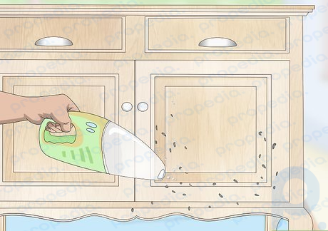 Adım 3 Yağlı cilayı uygulamadan önce ahşaptaki zımpara tozunu temizleyin.