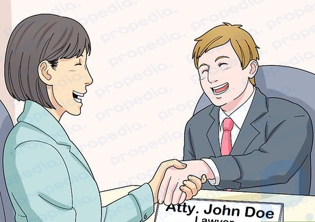 Step 1 Meet with a lawyer.